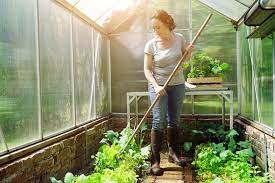Crucial aspects which you should keep in mind while installing a greenhouse