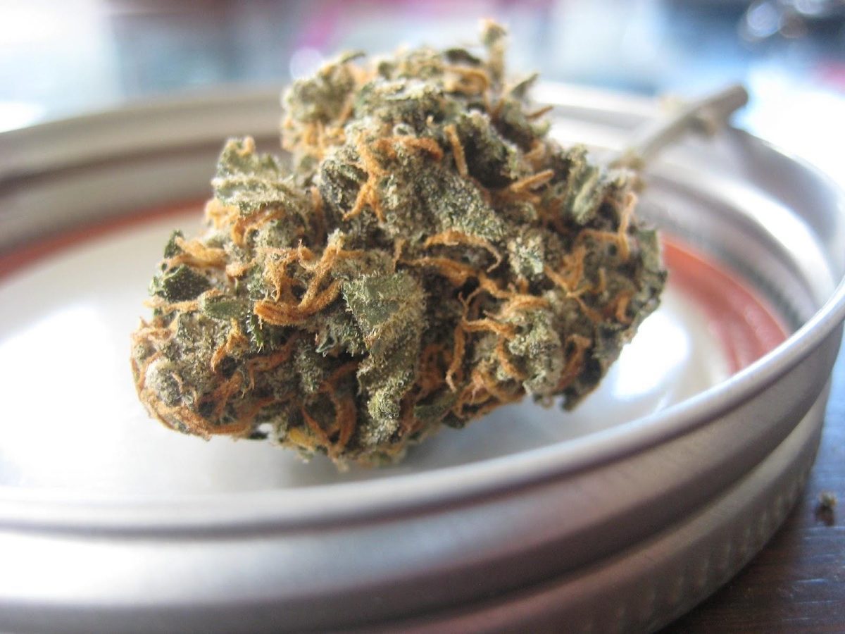 Important points to consider while Choosing a Weed Online Dispensary