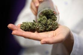 Online Marijuana Dispensaries: A Buyer’s Guide to Buy Weed Online