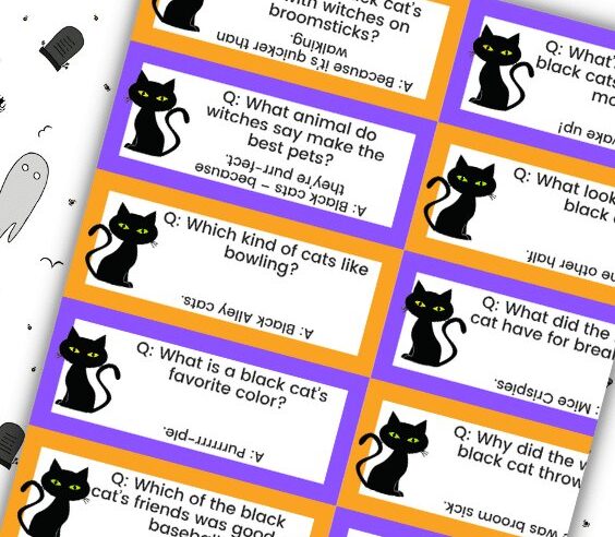 Crack The Code: What Does A Black Cat Say Joke