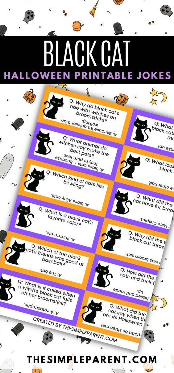 Crack The Code: What Does A Black Cat Say Joke