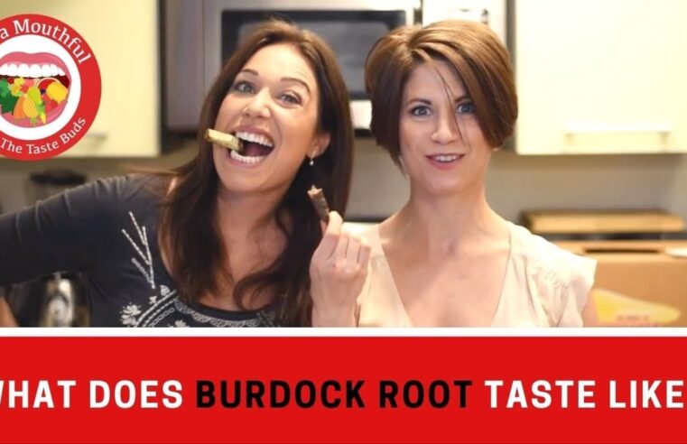 Exploring The Flavor: What Does Burdock Root Taste Like