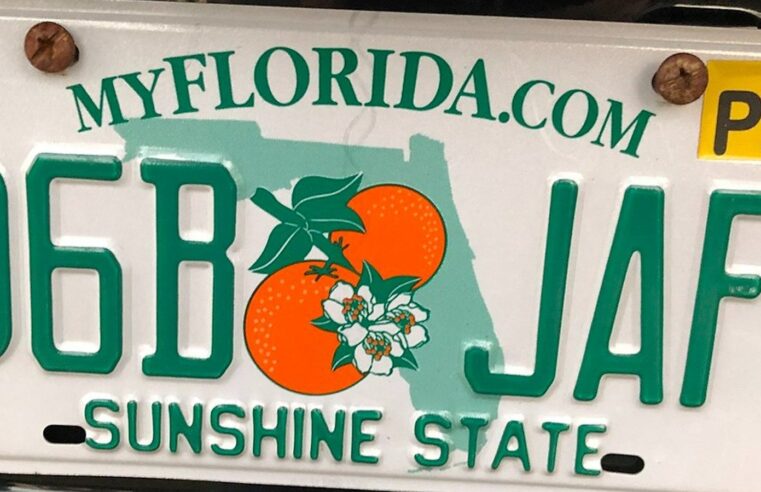 What Does Pm Mean On A Florida Tag: Key Insights.