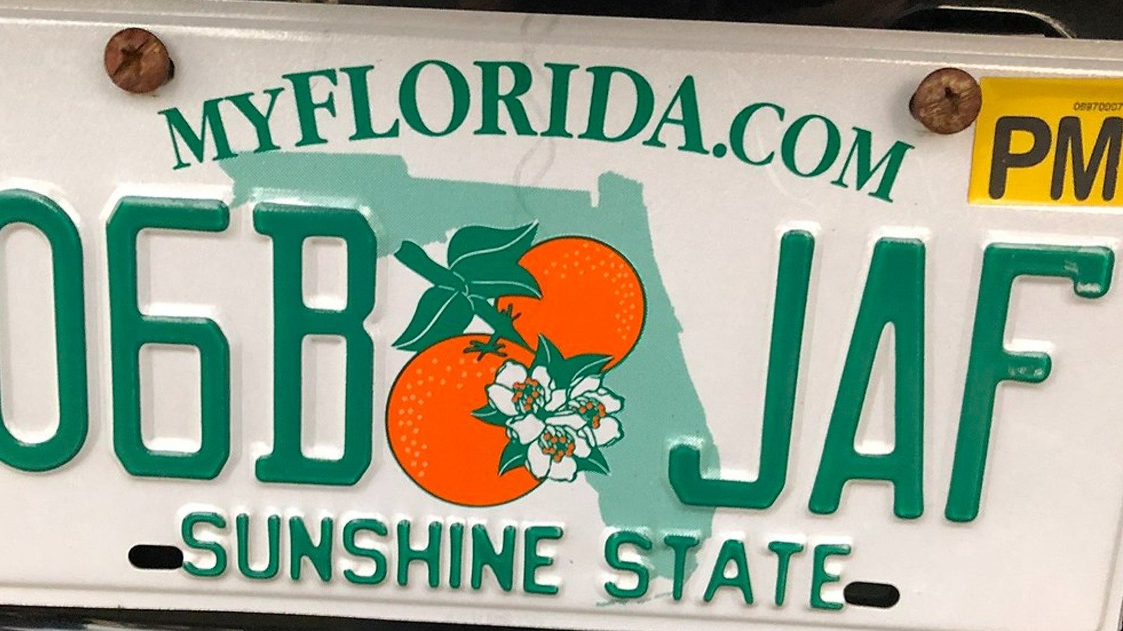 What Does Pm Mean On A Florida Tag: Key Insights.