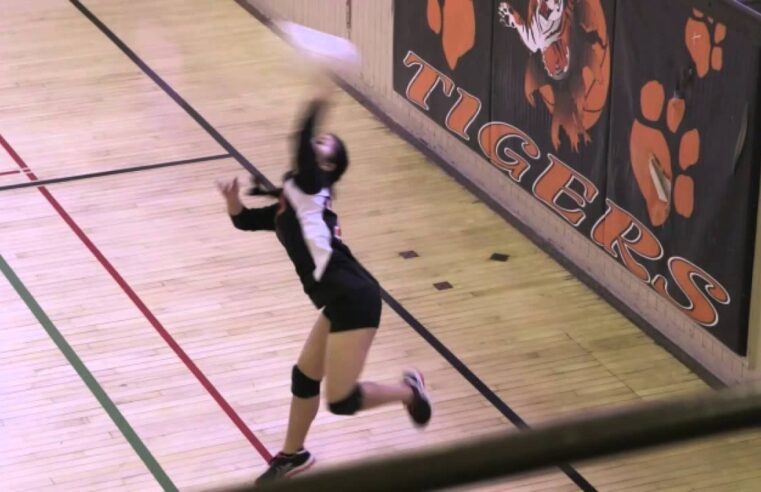 Understanding What Does Sideout Mean In Volleyball: A Guide