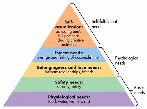 Understanding Discretionary Authority: A Comprehensive Guide