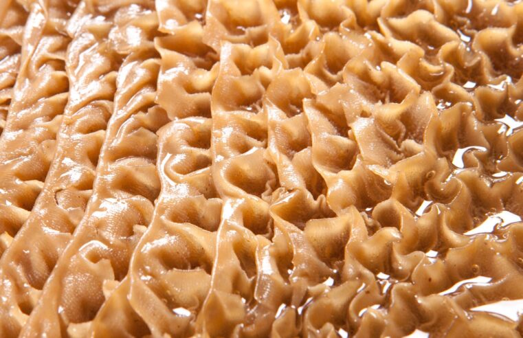 Exploring What Is Honeycomb Tripe: A Culinary Guide