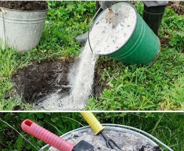 Practical Uses For Wood Ash: What To Do With Wood Ash