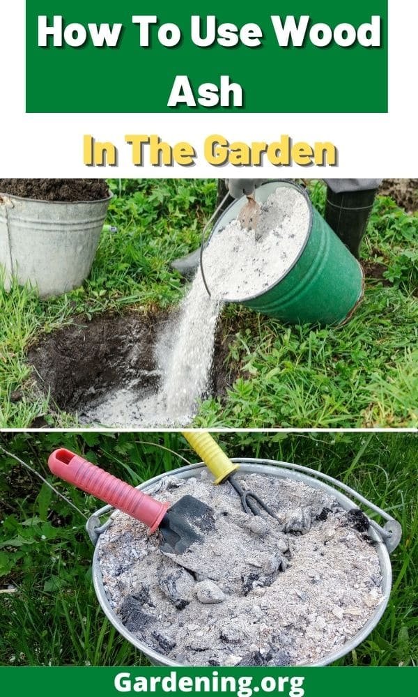 Practical Uses For Wood Ash: What To Do With Wood Ash