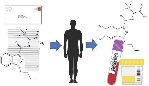 ADB-BUTINACA – Exploring Toxicology and Public Health Risks