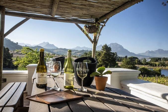 Remhoogte Honeybunch Chenin: A Guide to This Distinctive South African Wine